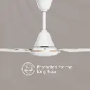 1000013589.webp
