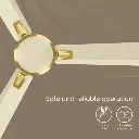 1000013776.webp