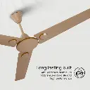 1000013687.webp