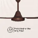 1000019396.webp