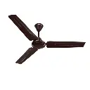 Crompton seawind Brown