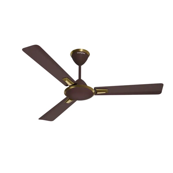 Crompton Aura Brown 