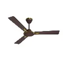 Crompton Aura Brown 